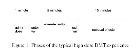 temporal phases of DMT experience