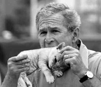 Bush eating kitten in New Orleans