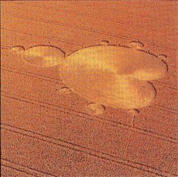 Mandelbrot Crop Circle