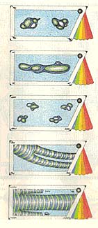 Codex Seraphinianus
