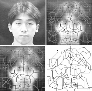 fractal profile of human face