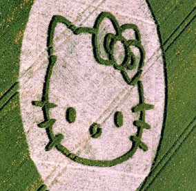 yeah, that is Hello Motherf***ing Kitty