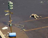 Hurricane Katrina aftermath