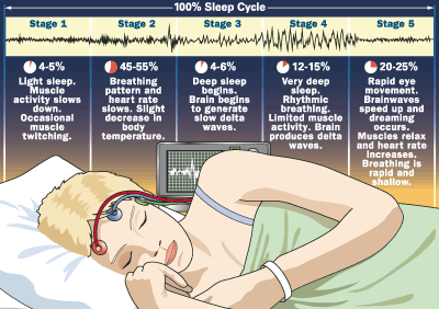 sleep_stages.gif